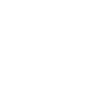 Anne Dardy Énergéticienne